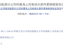 中標(biāo)結(jié)果定了！2500MW海上風(fēng)電場大部件更換項目
